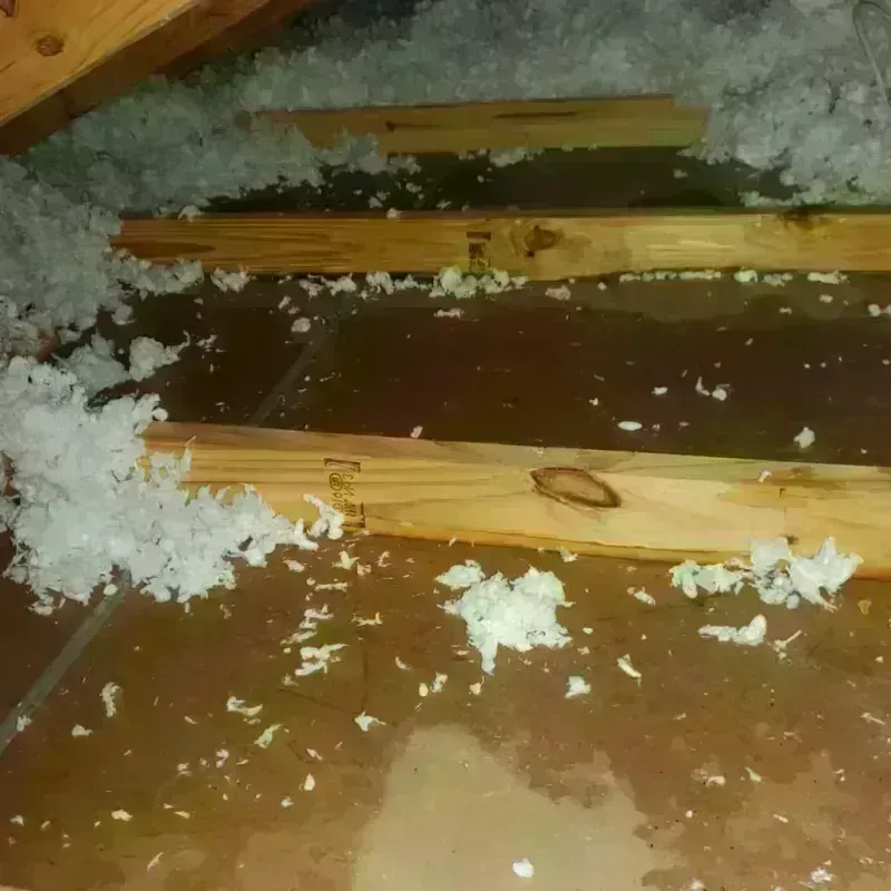 Attic Water Damage in Blackhawk, CA