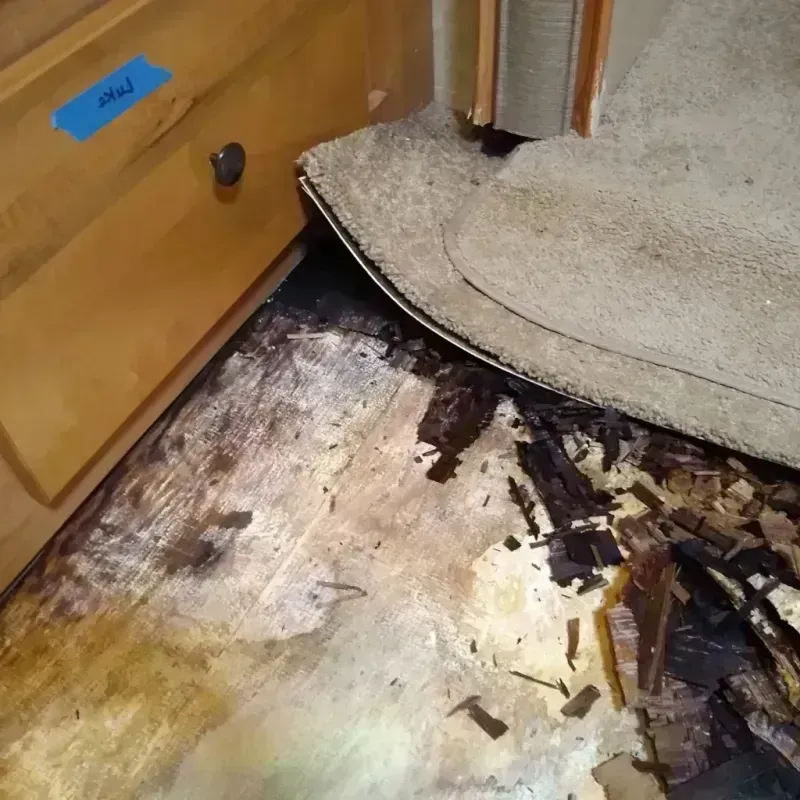 Wood Floor Water Damage in Blackhawk, CA